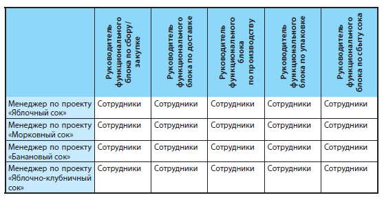 Организационная структура компании: основные виды, схема управления, примеры на реальных компаниях